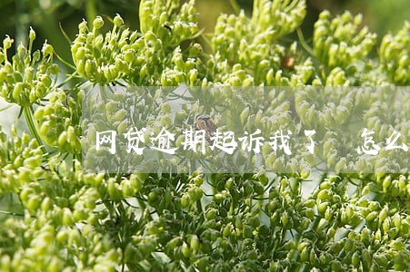 网贷逾期起诉我了 怎么办 网贷逾期起诉我了 怎么办